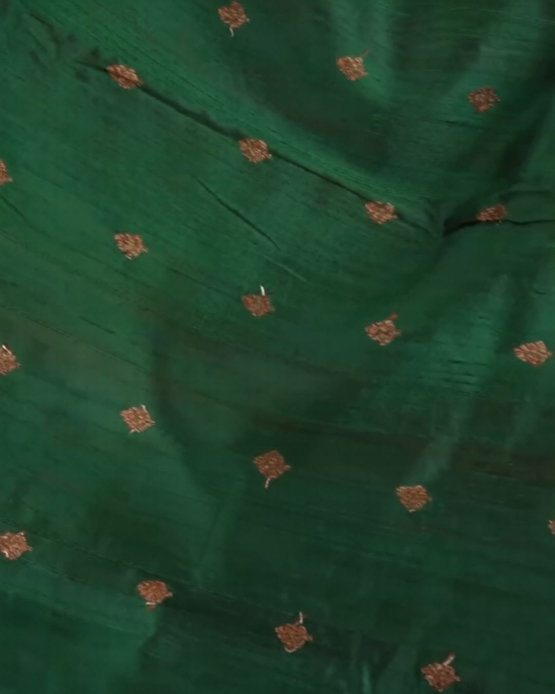 Borderless Raw Silk Saree