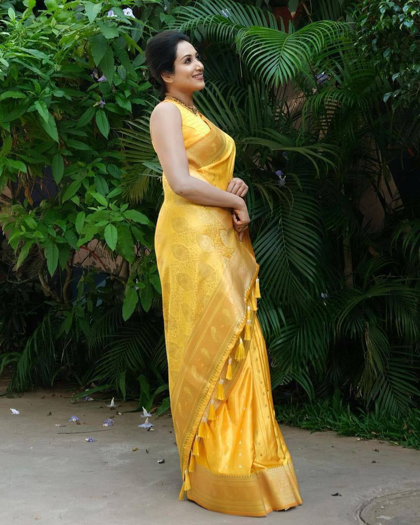 Heritage-Inspired Silk Drape for Grand Occasions