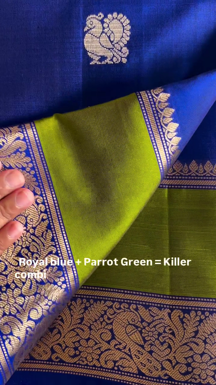 Neelam Vatika Drapes Silk Saree