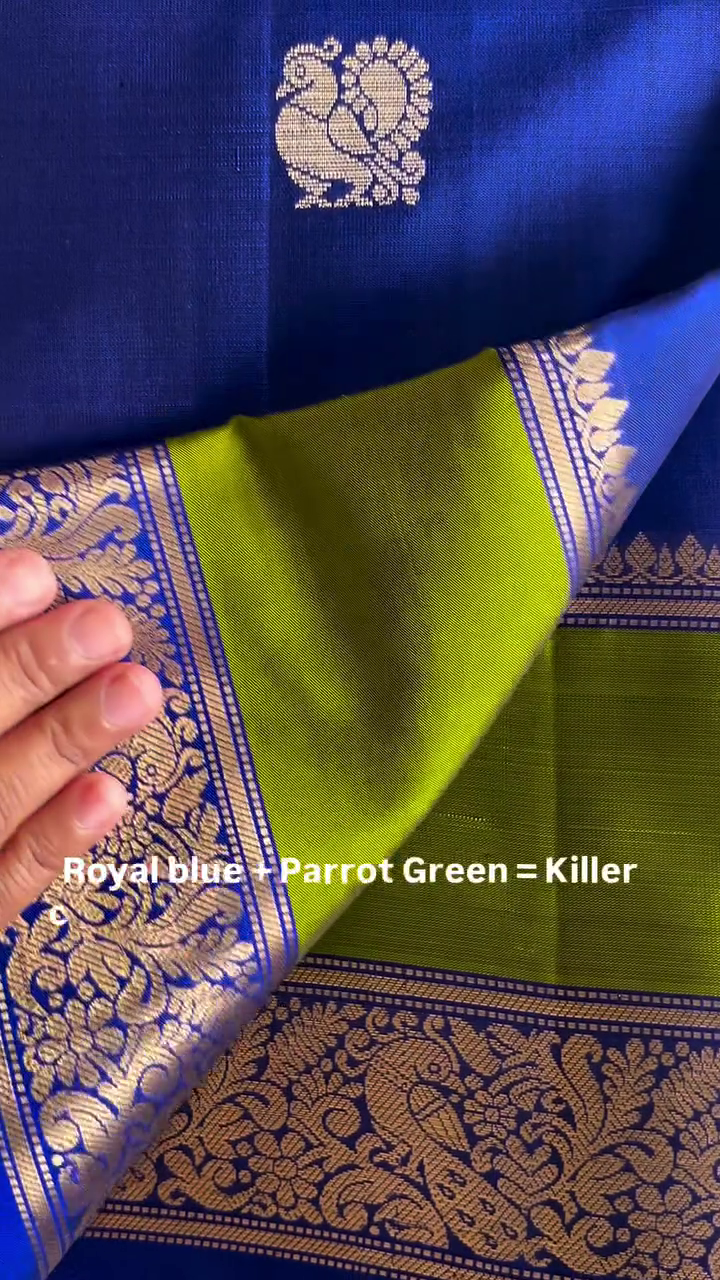 Neelam Vatika Drapes Silk Saree