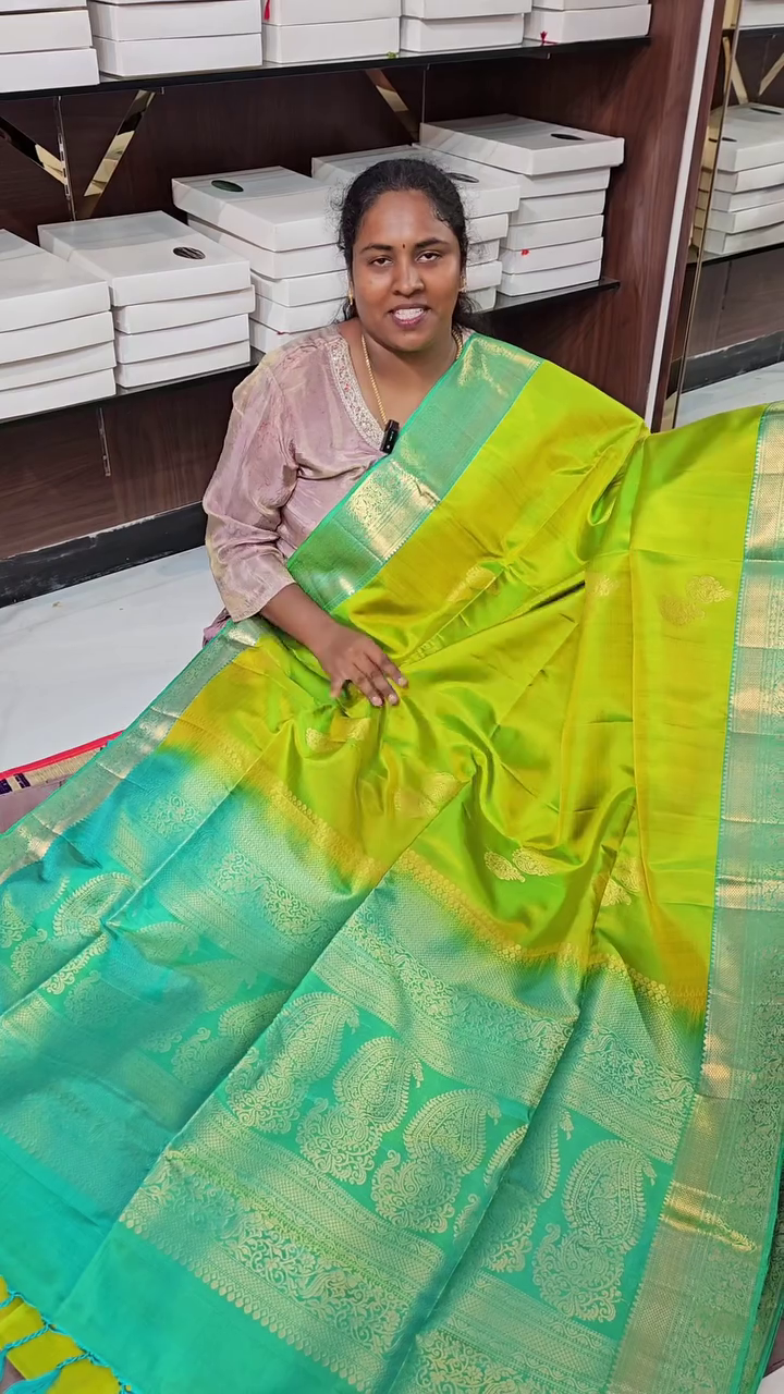 Vaibhavi Pacha Silk Saree