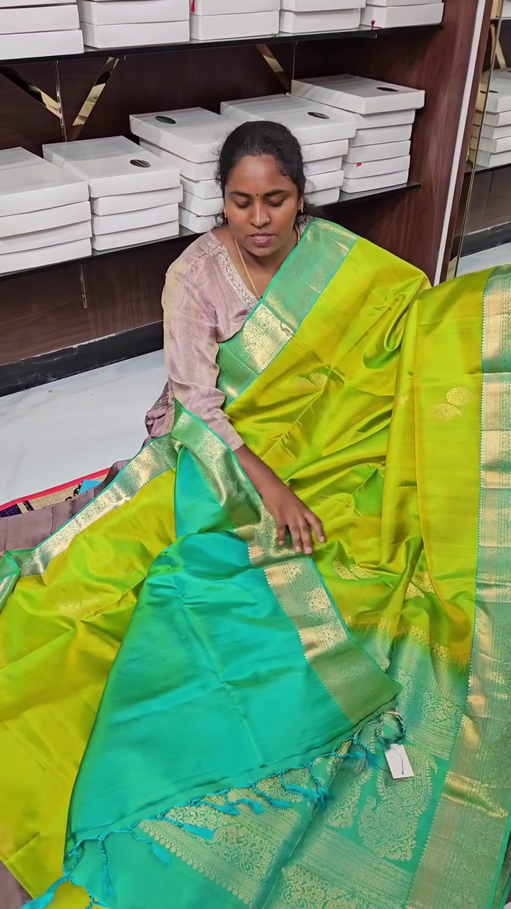 Vaibhavi Pacha Silk Saree