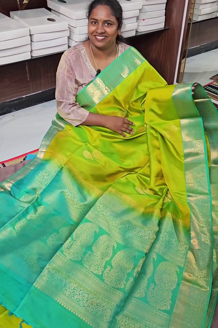 Vaibhavi Pacha Silk Saree