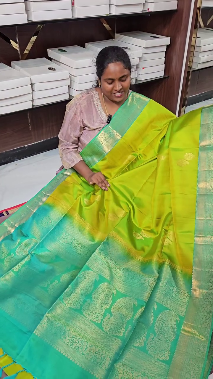 Vaibhavi Pacha Silk Saree