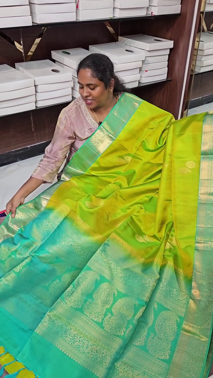 Vaibhavi Pacha Silk Saree